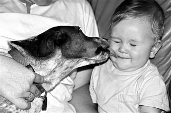 2651133711_4239f4393f_z