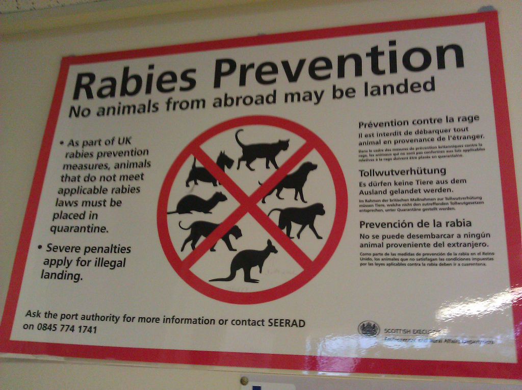 rabies invoer