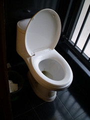 Eitjes van aarsmaden kunnen aan de wc-bril zitten